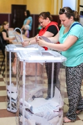 Предварительное голосование. Май, 2016