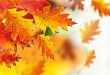 Золотая осень в Увате