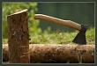 В Уватском районе возбуждено уголовное дело за незаконную вырубку леса
