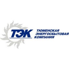 АО «ТЭК» названо самой информационно открытой энергосбытовой компанией России