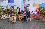 Фестиваль деревянной парковой скульптуры "Чудотворцы". Открытие. Сентябрь, 2019