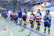 Областной турнир на приз клуба «Золотая шайба» среди хоккеистов 2000-2001 г.р. Февраль, 2015