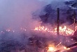 Пожар не прощает беспечности