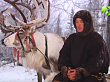 Северный колорит