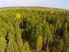 Лесной пожар не представляет угрозу жителям поселка Нагорный