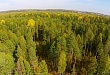 Лесной пожар не представляет угрозу жителям поселка Нагорный