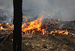 За минувшую неделю в Уватском районе зафиксировано 6 пожаров