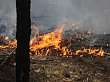 За минувшую неделю в Уватском районе зафиксировано 6 пожаров