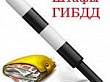О штрафах ГИБДД