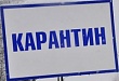 Карантин в школах Тюменской области продлен до 6 февраля Карантин в школах Тюменской области продлен до 6 февраля