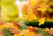 Мероприятие «Осенние посиделки»
