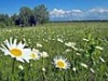 Прогноз на июль: умеренная жара и нормальное количество осадков
