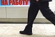 О создании дополнительных рабочих мест для трудоустройства безработных граждан О создании дополнительных рабочих мест для трудоустройства безработных граждан