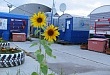 ООО «ТНК-Уват» подвело итоги конкурса «Эко-городок» ООО «ТНК-Уват» подвело итоги конкурса «Эко-городок»