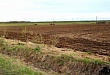 Посевная кампания в Уватском районе прошла в оптимальные сроки – до 11 июня Посевная кампания в Уватском районе прошла в оптимальные сроки – до 11 июня