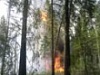 Обстановка с лесными пожарами в Уватском районе