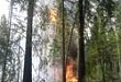 Обстановка с лесными пожарами в Уватском районе