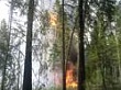 Обстановка с лесными пожарами в Уватском районе