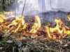 Предупредить пожар легче, чем потушить