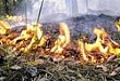 Предупредить пожар легче, чем потушить Предупредить пожар легче, чем потушить