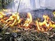 Предупредить пожар легче, чем потушить