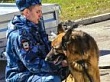 В Уватском районе с помощью служебно-розыскной собаки раскрыто 6 преступлений