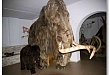 Краеведческий музей посетили школьники из Ханты-Мансийска Краеведческий музей посетили школьники из Ханты-Мансийска