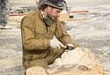 Открытие первого международного фестиваля деревянной парковой скульптуры Открытие первого международного фестиваля деревянной парковой скульптуры