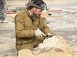 Открытие первого международного фестиваля деревянной парковой скульптуры