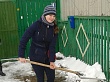Волонтеры объединения «Лидер» убрали снег у ветерана