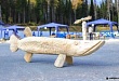 Чудеса из дерева Чудеса из дерева