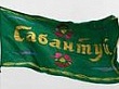 Федеральный Сабантуй приглашает гостей