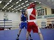 Россыпь медалей боксерского турнира