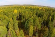 Лесной пожар не представляет угрозу жителям Луговослинкина Лесной пожар не представляет угрозу жителям Луговослинкина