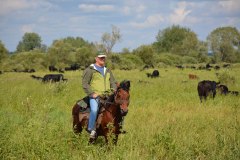 «Уватский ангус» станет известным брендом по производству мраморной говядины