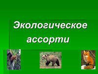 «Экологическое ассорти»: турнир завершен