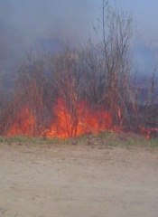 Подготовку к пожароопасному сезону обсудили на областном уровне