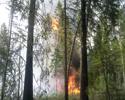 Обстановка с лесными пожарами в Уватском районе
