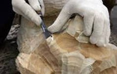 Сентябрь – время творить шедевры из дерева