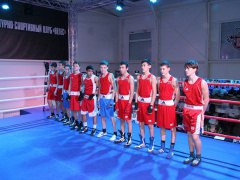 На ринге межрегионального боксерского турнира