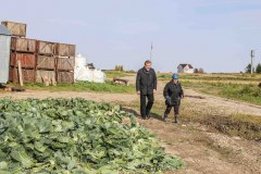 В Уватском районе продолжает развиваться инвестиционный проект по выращиванию овощей