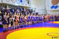 Завершен IV открытый областной турнир по греко-римской борьбе памяти В.В.Корчёмкина
