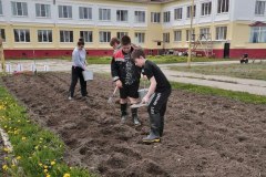 Школьники определили лучшие сорта картофеля для выращивания в Уватском районе