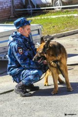 В Уватском районе с помощью служебно-розыскной собаки раскрыто 6 преступлений