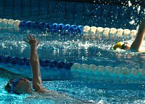 Медали тюменских соревнований по плаванию