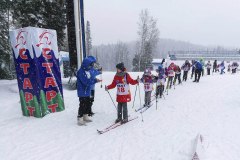 Ученики Туртасской школы стали абсолютными чемпионами районного фестиваля ГТО