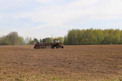Аграрии района завершили посев зерновых культур и посадили картофель