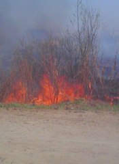 Обстановка с лесными пожарами с начала пожароопасного периода