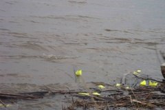 «Мы помним! Мы гордимся!»: в память о погибших на войне…