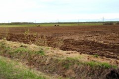Посевная кампания в Уватском районе прошла в оптимальные сроки – до 11 июня